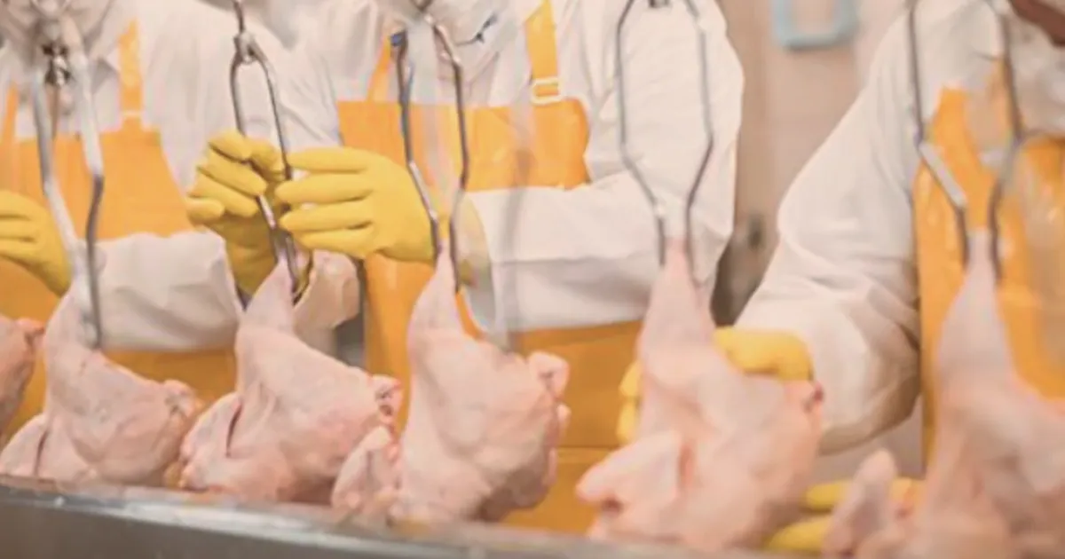 filipinlere kanatli eti ve su urunleri yolu acildi NyKSSh5g