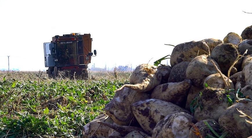 seker pancarinin alim fiyati belli oldu fPKriMhK
