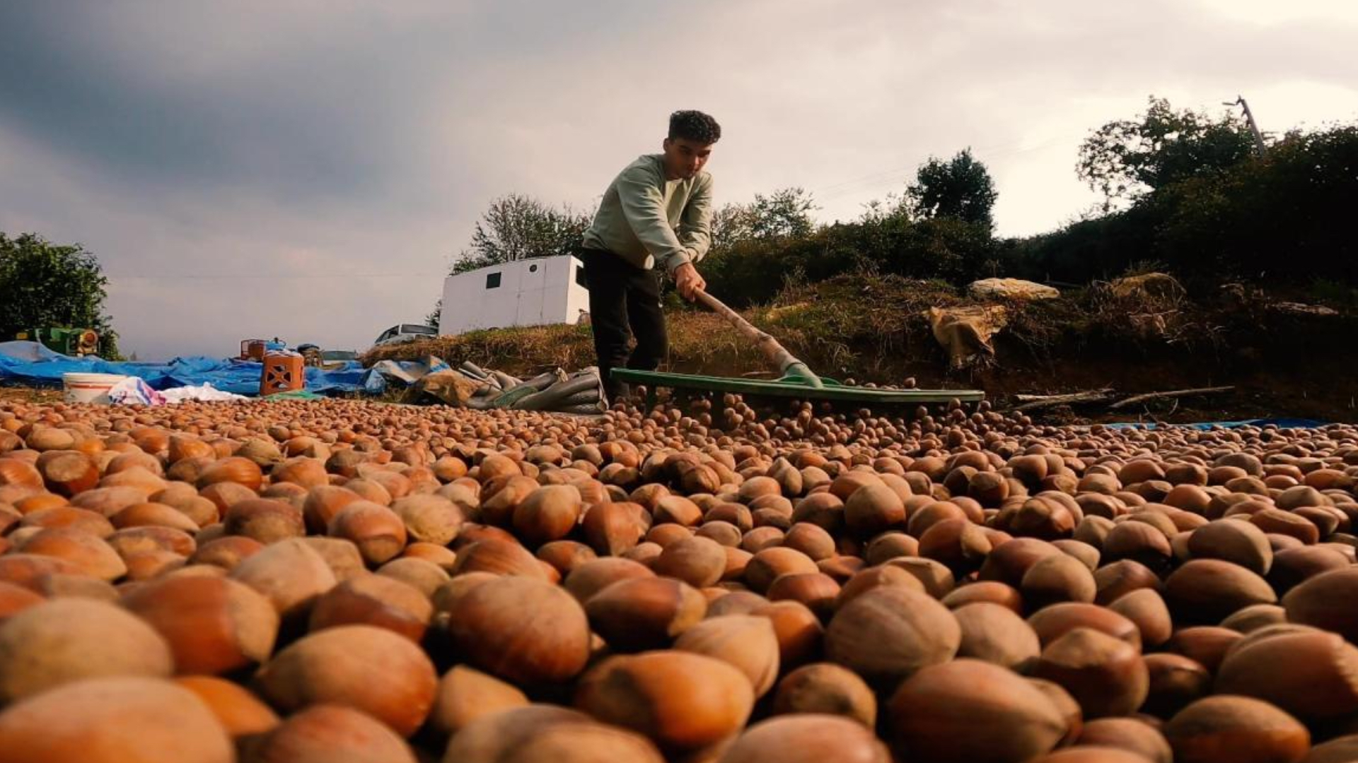turkiye findik ihracatindan 9 ayda 16 milyar dolari askin gelir sagladi lQ683IIW.jpg