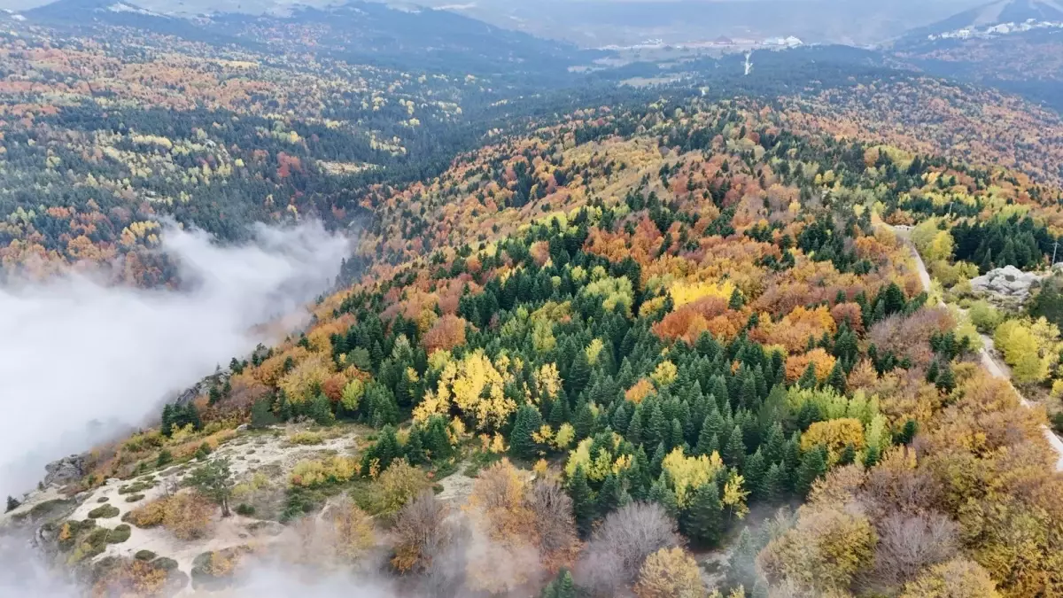 uludagda sonbahar guzellikleri HN1z9jwD.jpg
