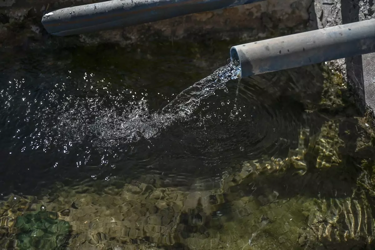 yenimahallede su kesintisi Xy5SdnH4