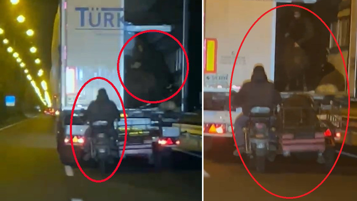 diyarbakirda film sahnelerini aratmayan hirsizlik seyir halindeki tirdan koyun caldilar ZdvsVA32.jpg