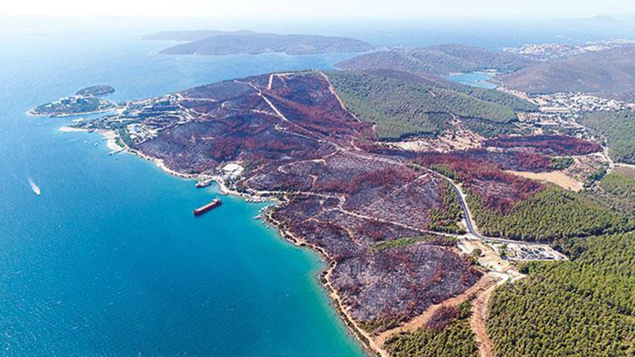 Muğla’da yanan ormanlık alanların imara açılacağı iddiasına validen yanıt Img